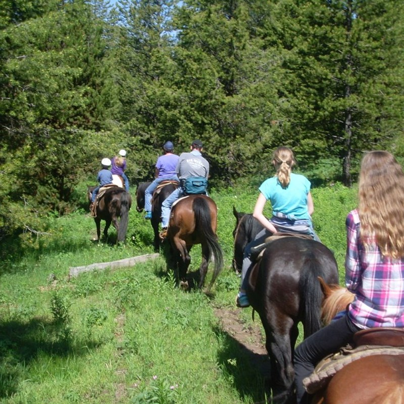 Horse Rides | Eagle Ridge Ranch