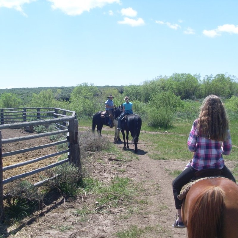 Horse Rides | Eagle Ridge Ranch
