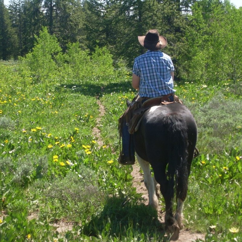 Horse Rides | Eagle Ridge Ranch