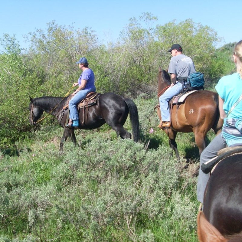 Horse Rides | Eagle Ridge Ranch