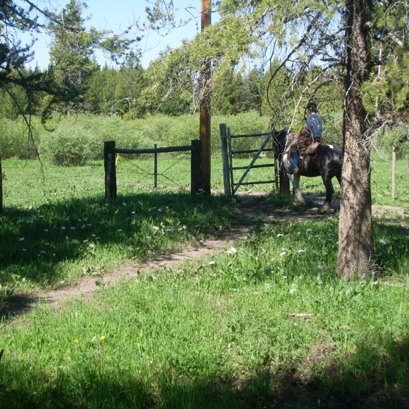 Horse Rides | Eagle Ridge Ranch