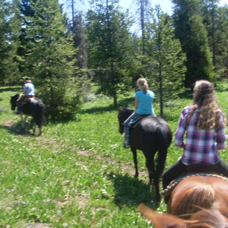 Horse Rides | Eagle Ridge Ranch