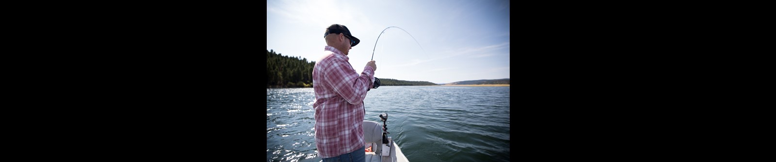 Eagle Ridge Ranch Beef, LLC