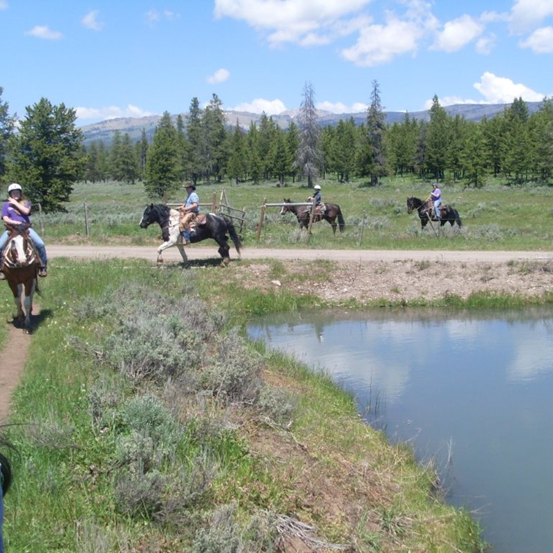 Horse Rides | Eagle Ridge Ranch